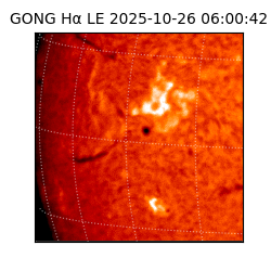 gong - 2025-10-26T06:00:42