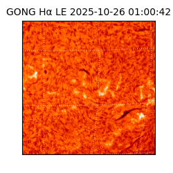 gong - 2025-10-26T01:00:42