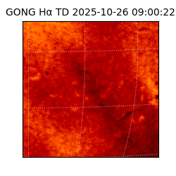 gong - 2025-10-26T09:00:22