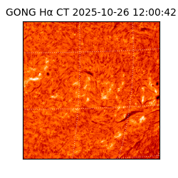 gong - 2025-10-26T12:00:42