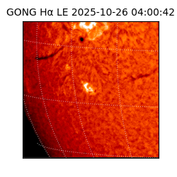 gong - 2025-10-26T04:00:42