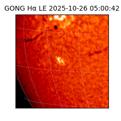 gong - 2025-10-26T05:00:42