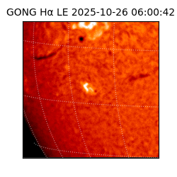 gong - 2025-10-26T06:00:42