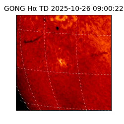 gong - 2025-10-26T09:00:22