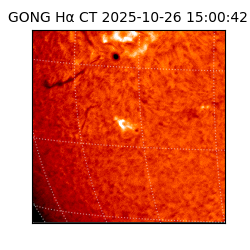 gong - 2025-10-26T15:00:42