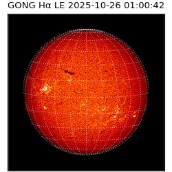 gong - 2025-10-26T01:00:42