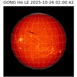 gong - 2025-10-26T02:00:42