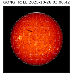 gong - 2025-10-26T03:00:42