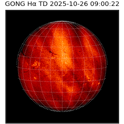 gong - 2025-10-26T09:00:22
