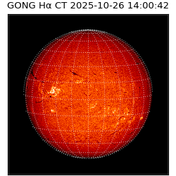 gong - 2025-10-26T14:00:42