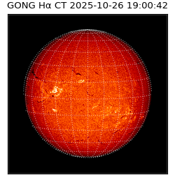 gong - 2025-10-26T19:00:42