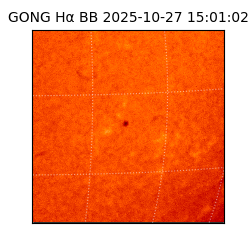 gong - 2025-10-27T15:01:02