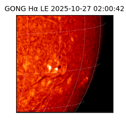 gong - 2025-10-27T02:00:42