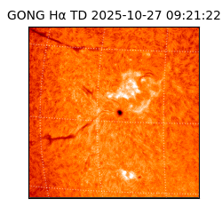 gong - 2025-10-27T09:21:22