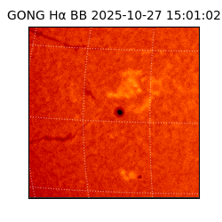 gong - 2025-10-27T15:01:02