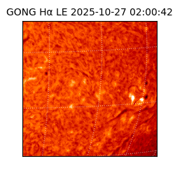 gong - 2025-10-27T02:00:42