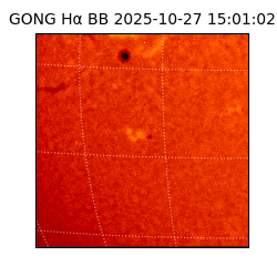gong - 2025-10-27T15:01:02