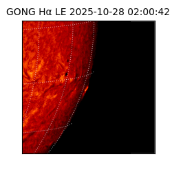gong - 2025-10-28T02:00:42
