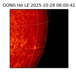gong - 2025-10-28T06:00:42