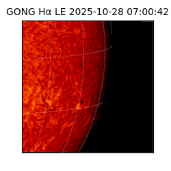gong - 2025-10-28T07:00:42