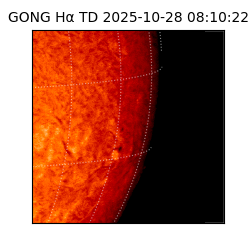 gong - 2025-10-28T08:10:22