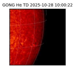 gong - 2025-10-28T10:00:22