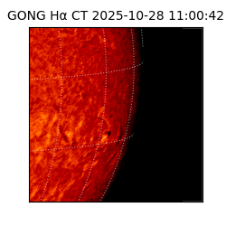 gong - 2025-10-28T11:00:42