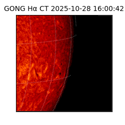 gong - 2025-10-28T16:00:42