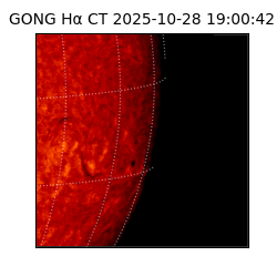 gong - 2025-10-28T19:00:42