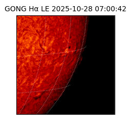 gong - 2025-10-28T07:00:42