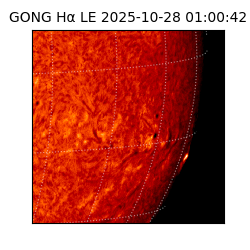 gong - 2025-10-28T01:00:42