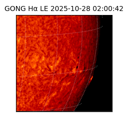 gong - 2025-10-28T02:00:42