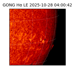 gong - 2025-10-28T04:00:42