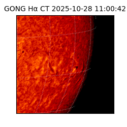 gong - 2025-10-28T11:00:42