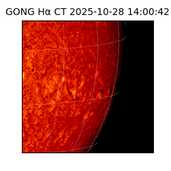 gong - 2025-10-28T14:00:42