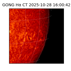 gong - 2025-10-28T16:00:42