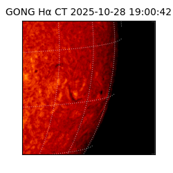 gong - 2025-10-28T19:00:42