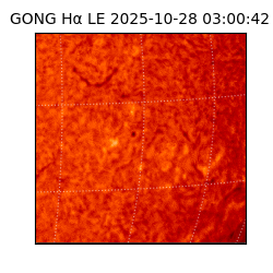 gong - 2025-10-28T03:00:42