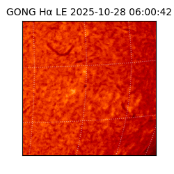 gong - 2025-10-28T06:00:42
