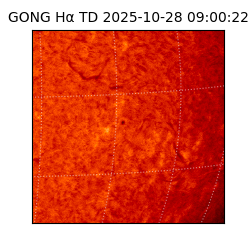 gong - 2025-10-28T09:00:22