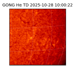 gong - 2025-10-28T10:00:22