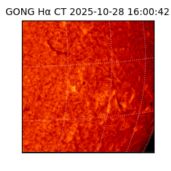 gong - 2025-10-28T16:00:42