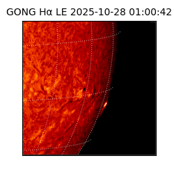 gong - 2025-10-28T01:00:42