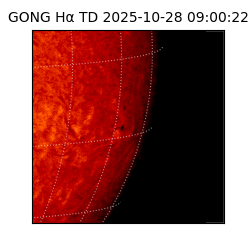 gong - 2025-10-28T09:00:22