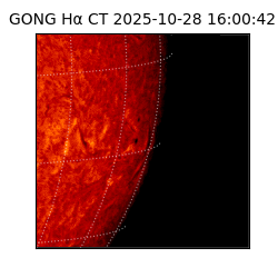 gong - 2025-10-28T16:00:42