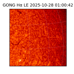 gong - 2025-10-28T01:00:42
