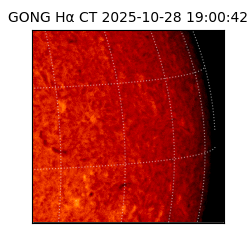 gong - 2025-10-28T19:00:42