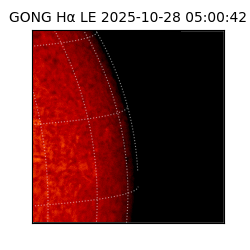 gong - 2025-10-28T05:00:42