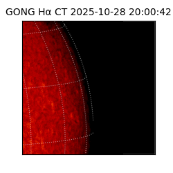 gong - 2025-10-28T20:00:42