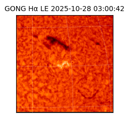 gong - 2025-10-28T03:00:42